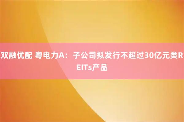 双融优配 粤电力A：子公司拟发行不超过30亿元类REITs产品